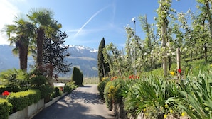 Ein gepflasterter Weg, gesäumt von üppiger Vegetation und blühenden Pflanzen, führt zu einem bergigen Hintergrund.