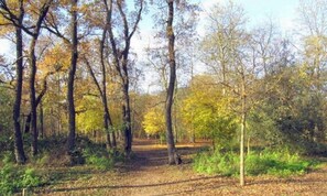 Unclassified image, 5 of 11, button - Vrbo Property (Paris)