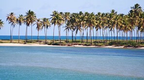 Beach - Casa Parque das Árvores - Camaçari - BA (Camaçari)