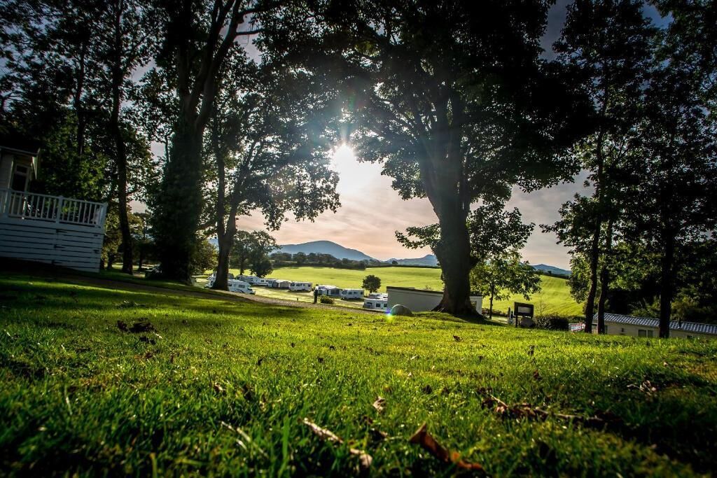 A grassy area with trees and a view of a hilly landscape in the background.