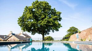 A swimming pool with a tree in the center, surrounded by buildings. - Coed Helen Holiday Park (Caernarfon)