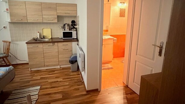 A compact living space with a kitchen area, a dining area, and a bedroom.