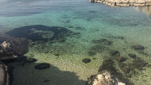 Une zone côtière caractérisée par une eau claire, des formations rocheuses et la présence de bateaux.