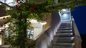 A staircase with a metal railing and a plant with red flowers. - DimArist Residence in Zakynthos (Agios Kirikos)