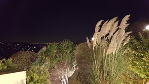 A nighttime view of a landscaped area with various plants and a pathway. - Villa Politimi at Aegina (Egina)