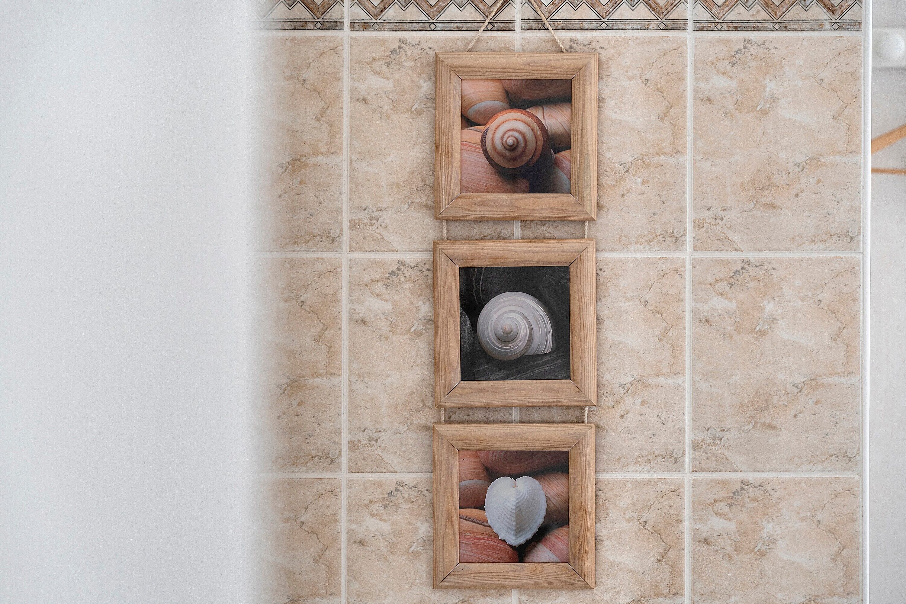 A tiled wall with three framed pictures of shells.