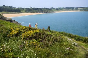 Botón de imagen sin clasificar, 5 de 11