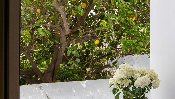 Een balkon met een bloemstuk van witte bloemen in een pot, een glas jus d'orange, een kopje en een tijdschrift op een witte plank.