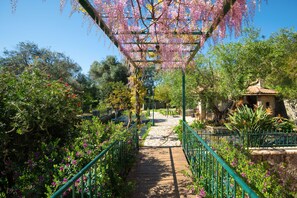 Property grounds - Villa Marifei in Kato Korakiana (Kato Korakiana)