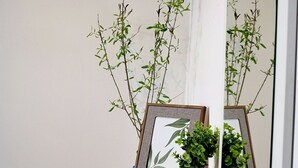 Une photo encadrée représentant une plante posée sur une étagère blanche, un miroir qui reflète la scène, et un livre intitulé « HISTOIRES D’AMOUR » placé en dessous.