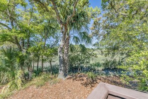 Property grounds - Pet Friendly, golf cart included, club cards available - 209 Tennis Villa (Fripp Island)
