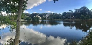 Imagem sem classificação, 2 de 11, botão