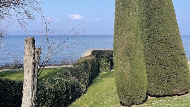 A well-maintained garden with tall, conical hedges and a tree stump. - Sirmio Green Shore By Bookinggardalake (Sirmione)