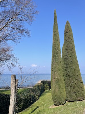 Um jardim bem cuidado com sebes altas e em formato de cone e um toco de árvore.