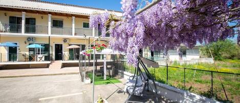 テラス / パティオ