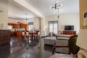 TV, fireplace - Leone Luxury Villa Giota (Zakynthos)