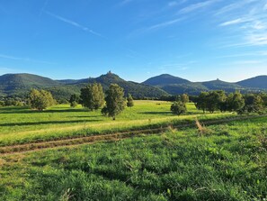 Nicht klassifiziertes Bild, 5 von 15, Schaltfläche