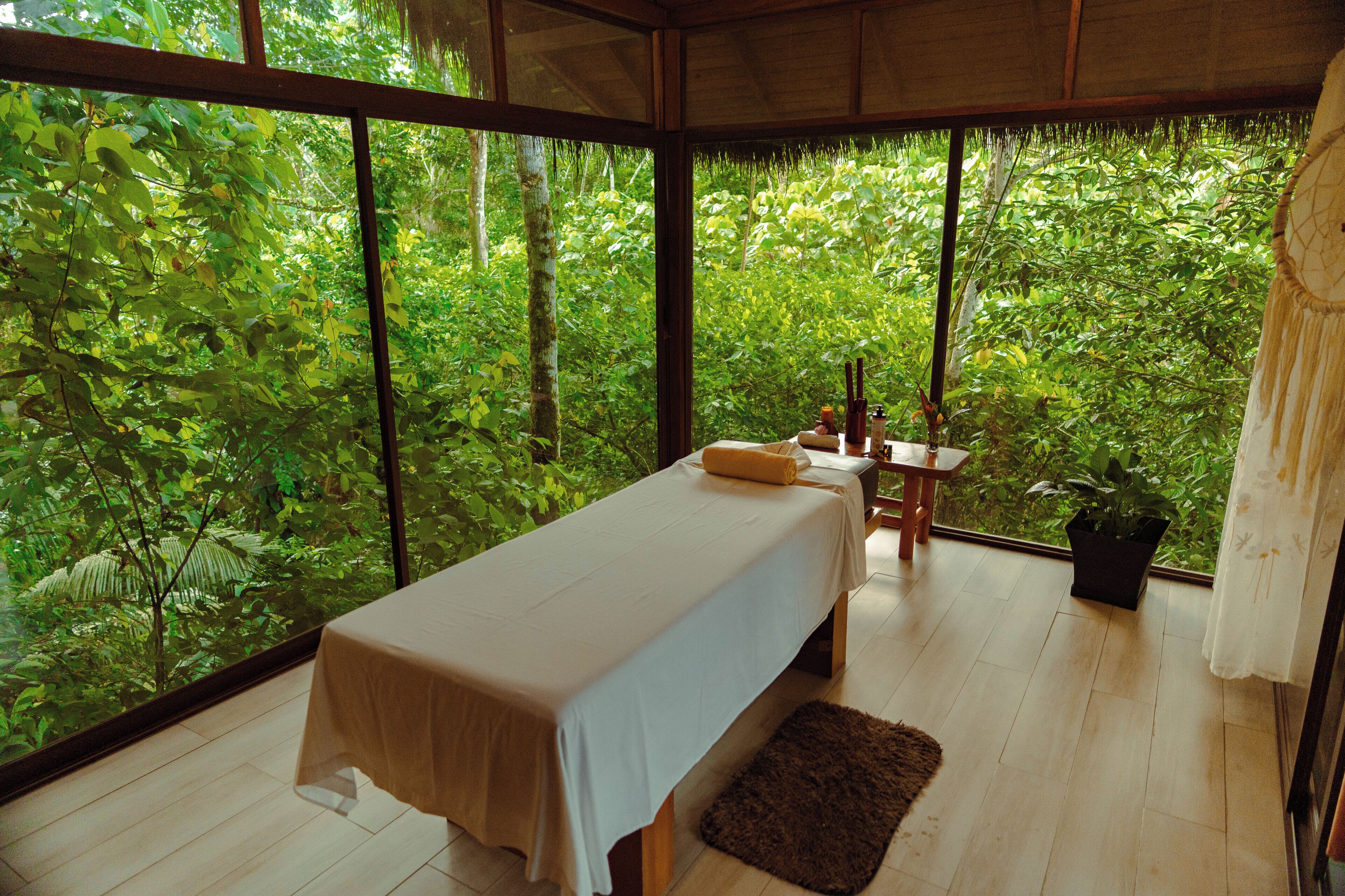 A room with a bed, a small table with a plant, and a view of dense greenery through large windows.