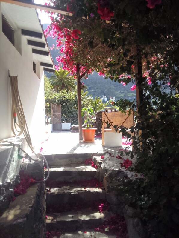 A staircase leading to a covered area with potted plants and a view of a mountainous landscape.
