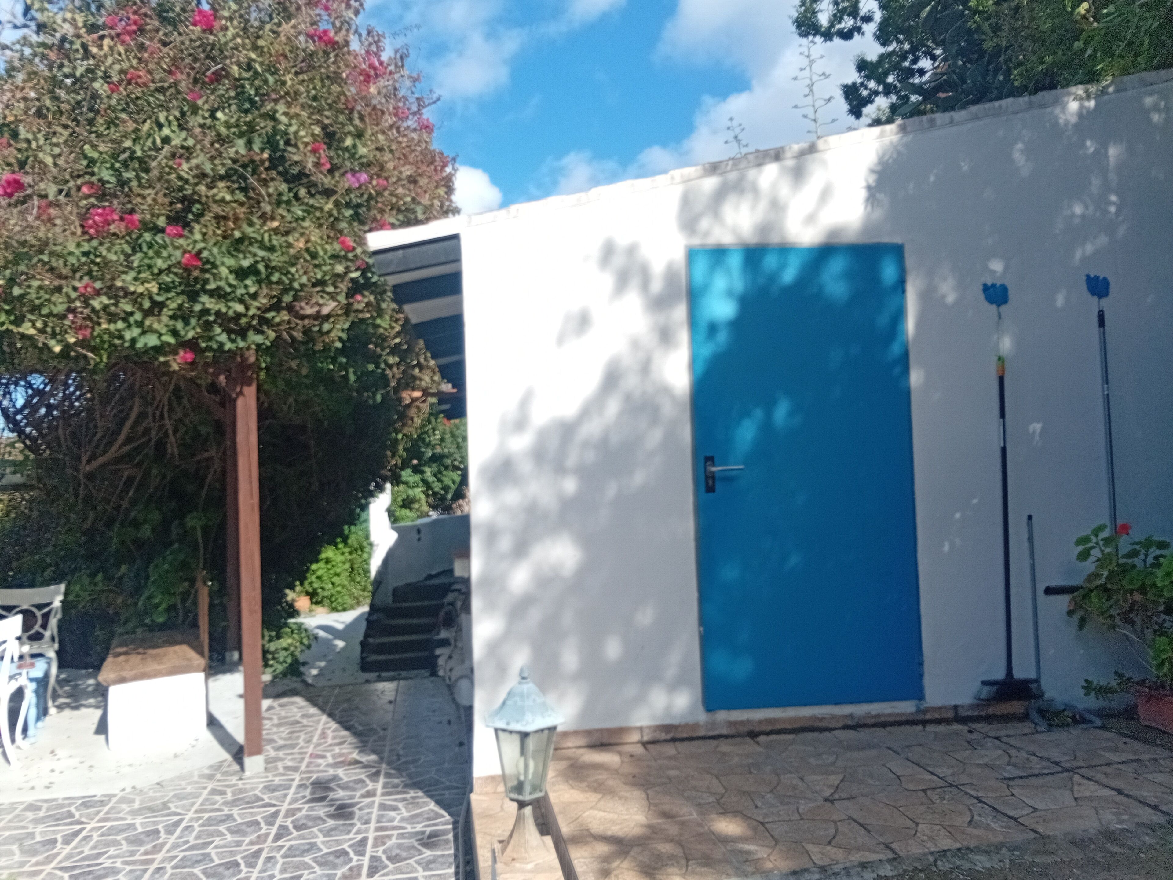 A white building with a blue door, a staircase, and a tree with pink flowers.