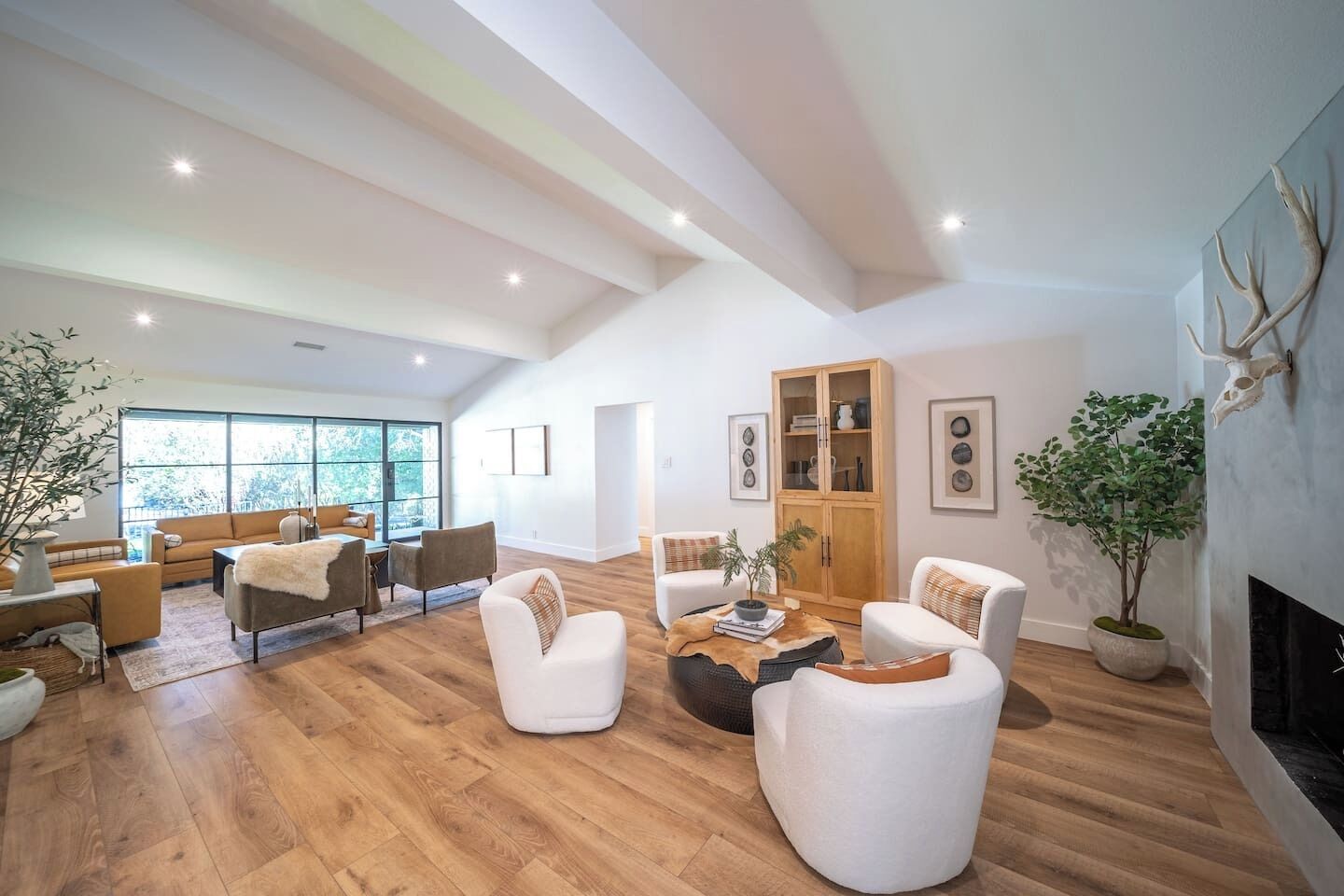 Smart TV, fireplace, books, music library