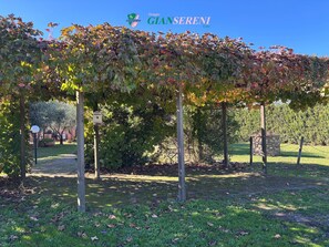 Property grounds - 4sleeping places with swimming pool, parking space-Rif. Casalpiano11 (Campiglia Marittima)