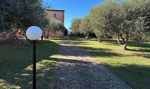 Property grounds - 4sleeping places with swimming pool, parking space-Rif. Casalpiano11 (Campiglia Marittima)