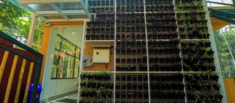 By The Stream Wayanad