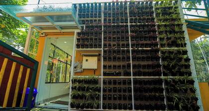 By The Stream Wayanad