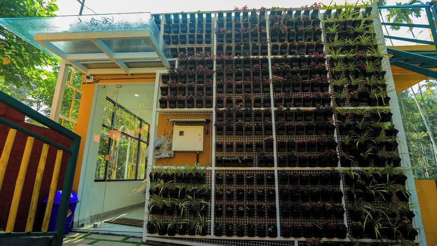 By The Stream Wayanad