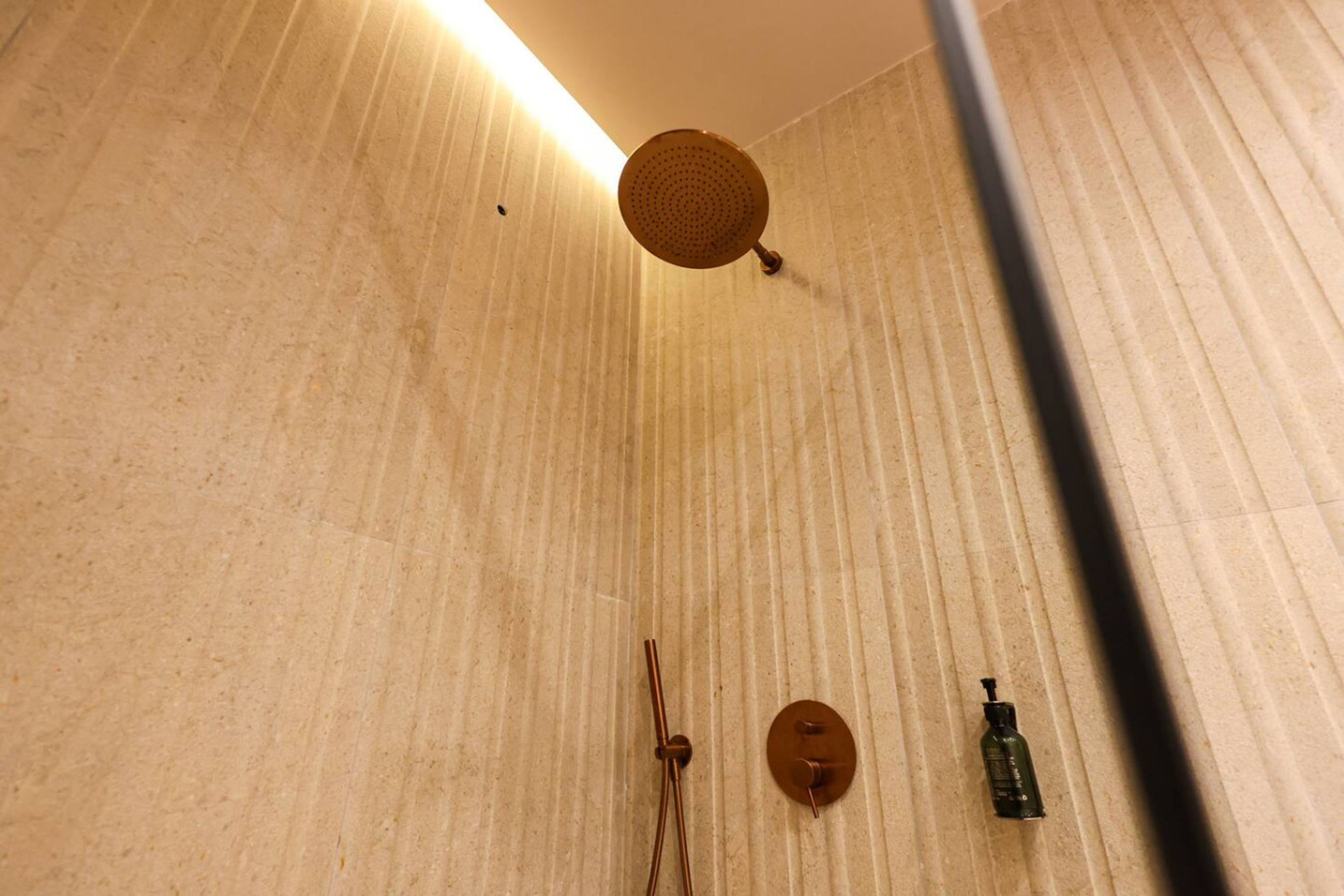 Een douchegedeelte met een handdouche, een bedieningsknop aan de muur en een fles shampoo.