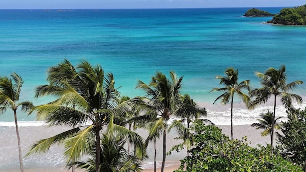 Una playa con agua turquesa cristalina, palmeras y una isla distante.