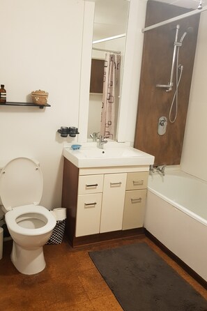 Serviettes fournies, savon, papier toilette