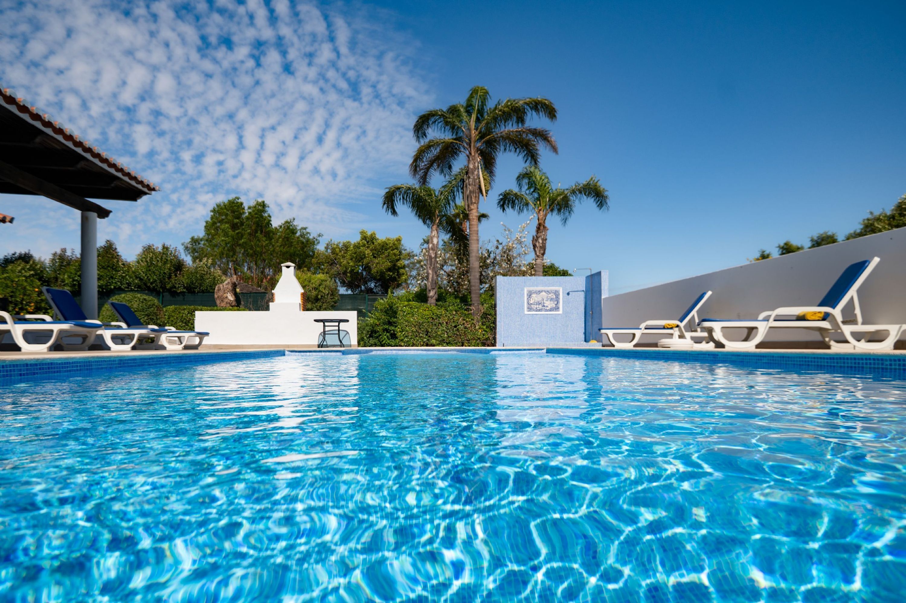 Une piscine avec des chaises longues et des palmiers en arrière-plan.