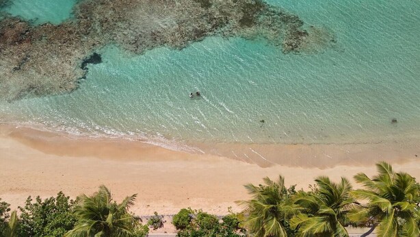 An aerial view of a beach with clear turquoise water, a sandy shore, and palm trees. - 2 Bedroom Pool Apartment (Las Terrenas)