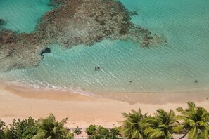 An aerial view of a beach with clear turquoise water, a sandy shore, and palm trees. - 2 Bedroom Pool Apartment (Las Terrenas)