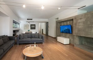 Fernseher, Kamin
