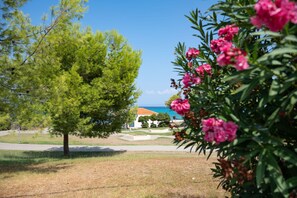 Property grounds - Sunny Villa Tessera in Chaniotis (Chaniotis)