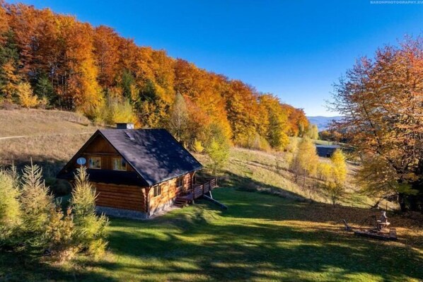 A log cabin with a dark roof, surrounded by a grassy area and dense trees with autumn foliage.
