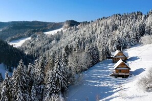 Exterior - Comfortable holiday villa in the mountains, sauna (Piwniczna Zdroj)