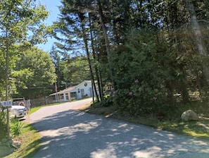 A rural road leading to a white building with a sloped roof, surrounded by dense trees and a clear sky.