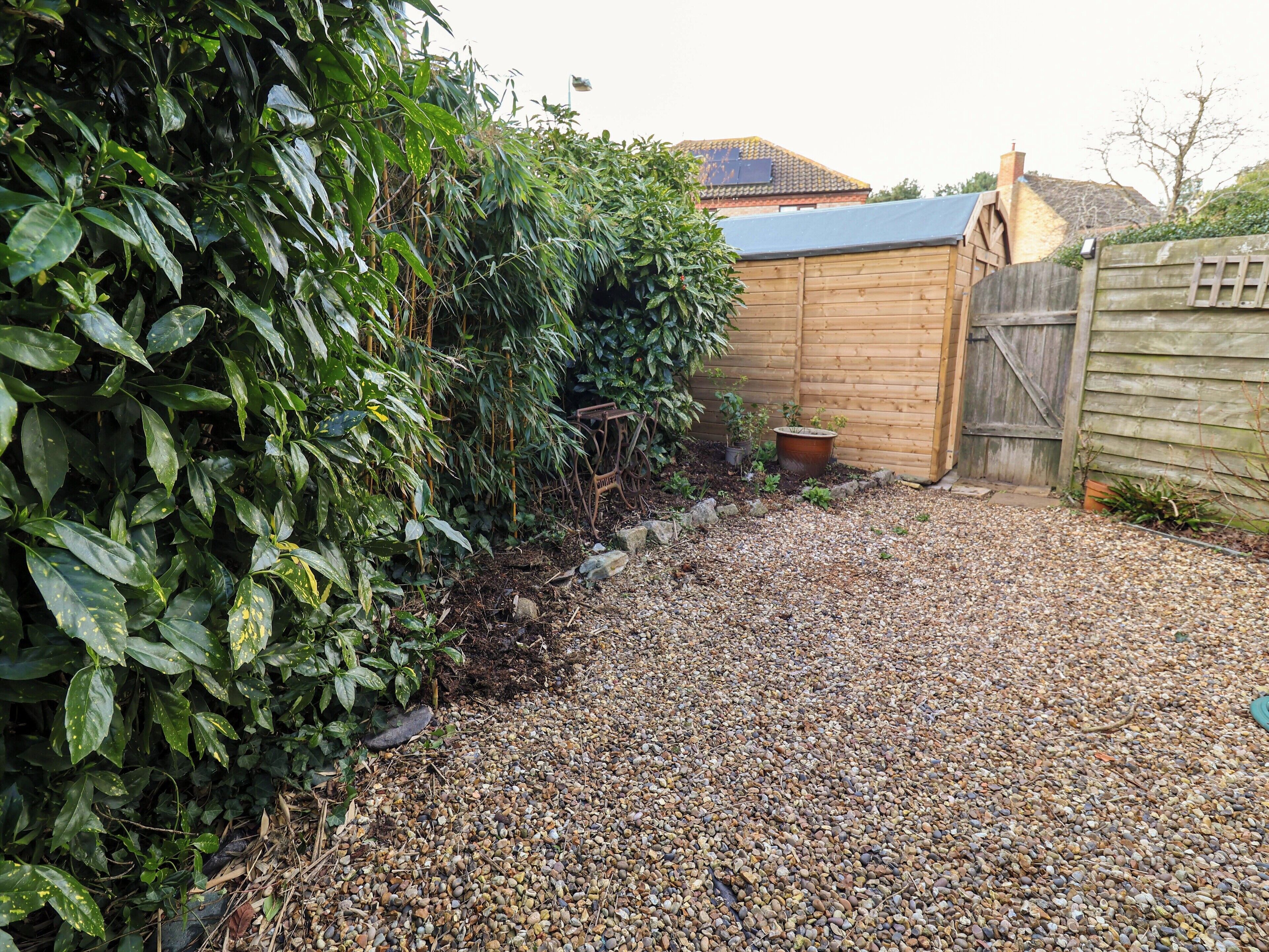 A gravel driveway leading to a wooden shed, surrounded by dense foliage and a wooden fence.
