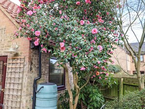 Property grounds - 17 Demesne Gardens (Ipswich)