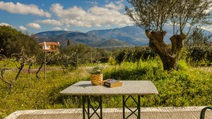 Ein Steintisch mit einer Ananas und einem Buch, umgeben von Grünpflanzen und Blick auf die Berge.