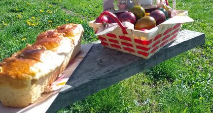 Vila Nina in Kramolin