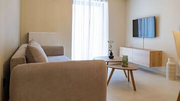 A modern living room with a sofa, a coffee table, a TV, and a radiator.