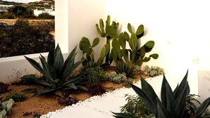 A modern outdoor patio with a white wall, a cactus garden, and a view of a coastal landscape. - Luxury Villa Jaspis Paros (Isterni)