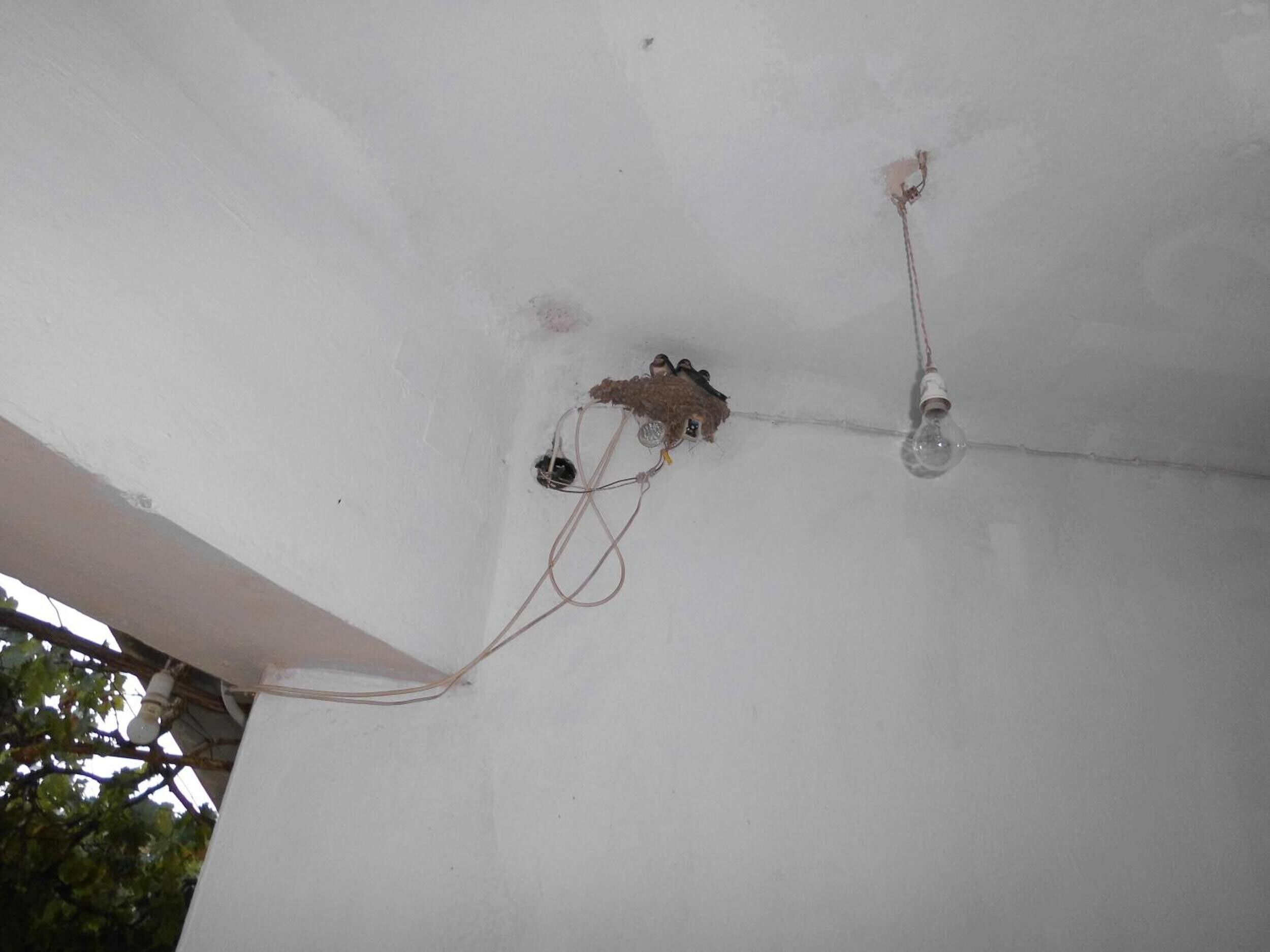 A ceiling with exposed wiring and a light bulb fixture.