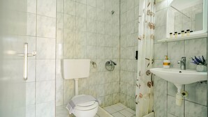 Un bany amb dutxa, vàter, rentapla i mirall.