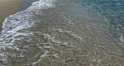 Chalet "E" 100 m from the Beach, in the Heart of a Large Tree-Filled Park